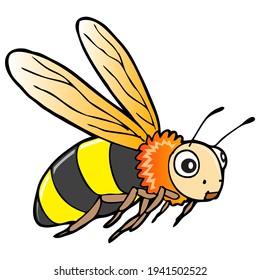bee vector illustration,
isolated on white background.animal top view