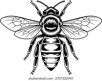 Vector de abeja ilustrador silueta negro y escribir 
