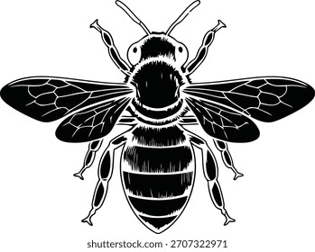 silhueta do ilustrador do vetor da abelha preto e escrever 