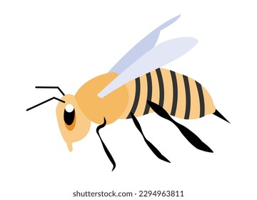 Bienenvektorbild oder Clipart