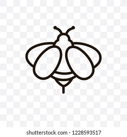 Bee vector linear icon isolated on transparent background, Bee transparency concept can be used for web and mobile