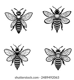 Bee Vektorgrafik Logo Moderne Grafik Abstract