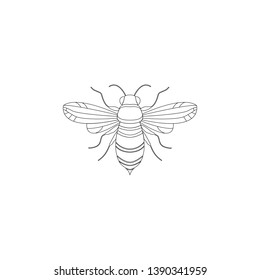 Bee vector logo. Silhouette of Bee transparent illustration on white background.