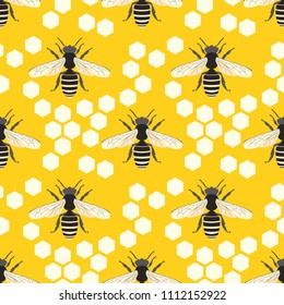 Bee  vector print pattern design. Seamless background with honeycomb and cute hand drawing bees
