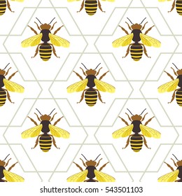 Bee  vector print pattern design. Seamless background with honeycomb and cute hand drawing bees