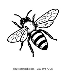 bee vector realistic line icon on white background
Vector line icon animal, wildlife