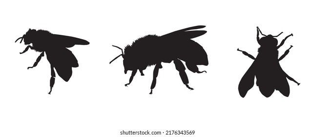 bee vector silhoutte eps format