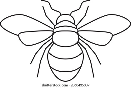 Bee vector simple Insect art. Black and white. White background. Line drawing.