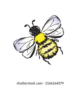 Bee - vector sketch scribble drawing. Freehand lined black outline and color spots. Illustration isolated on white background.