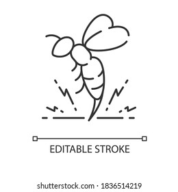 Bee venom linear icon. Honeybee attack, flying insect injecting poison. Thin line customizable illustration. Contour symbol. Stinging bumblebee, hornet vector isolated outline drawing. Editable stroke