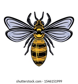 Bee. Vintage style Isolated on a white background. Design element for logo, badge, tattoo, t-shirt, banner, poster.