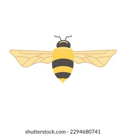 Bee, wasp, flying, yellow black, buzzer, cute, vector, design, amazing, element, drawing vector
