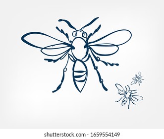 bee wasp insect vector art line isolated doodle illustration