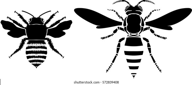 Bee and wasp vector illustration