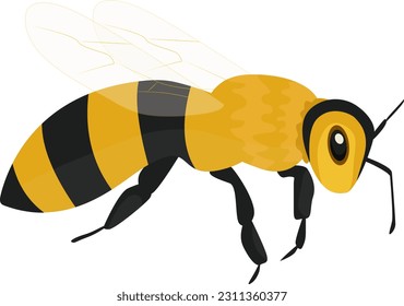 bee, wasp, vector illustration color, insect, striped bee