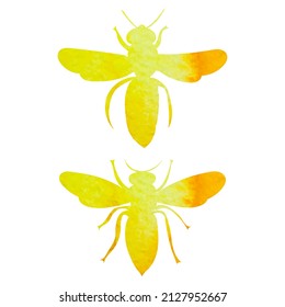 bee watercolor silhouette on white background, isolated vector