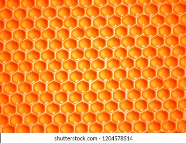 Bee wax cells texture.
