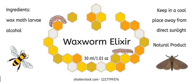 Bee, Wax Moth, Waxworm, Bee Comb