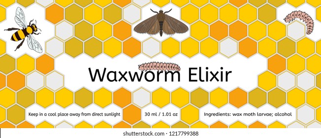 Bee, Wax Moth, Waxworm, Bee Comb