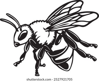 Bee white and black vector 