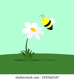 Bee with a white flower on the grass field, pollination, vector illustration