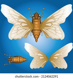 bee and wings vector format