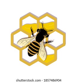 Bee work on honeycombs. Vector illustration. Icon, isolated on the white background, logo