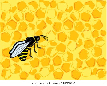 Bee ?nd yellow honeycombs