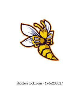 bee yellow insect honey hornet