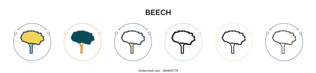 Beech icon in filled, thin line, outline and stroke style. Vector illustration of two colored and black beech vector icons designs can be used for mobile, ui, web