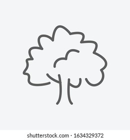 Beech icon line symbol. Isolated vector illustration of icon sign concept for your web site mobile app logo UI design.