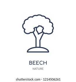 Beech icon. Beech linear symbol design from Nature collection. Simple outline element vector illustration on white background.