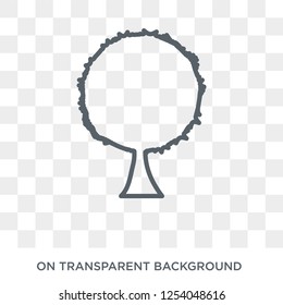 Beech icon. Trendy flat vector Beech icon on transparent background from nature collection. High quality filled Beech symbol use for web and mobile