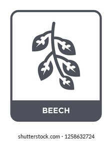 beech icon vector on white background, beech trendy filled icons from Nature collection, beech simple element illustration