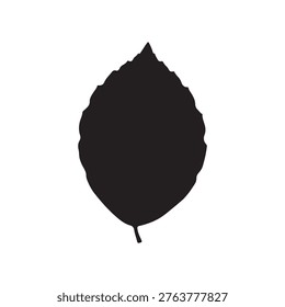Beech leaf black silhouette vector illustration on white background