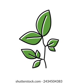 beech leaf color icon vector. beech leaf sign. isolated symbol illustration