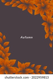 Beech leaf frame vector for decoration on Autumn season and Thanksgiving festival.