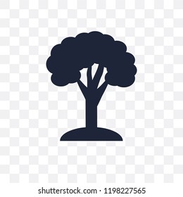 Beech transparent icon. Beech symbol design from Nature collection. Simple element vector illustration on transparent background.