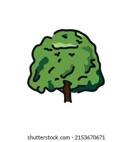 Beech tree color line icon. Pictogram for web page, mobile app, promo.