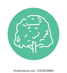 Beech tree color line icon. Pictogram for web page, mobile app, promo.