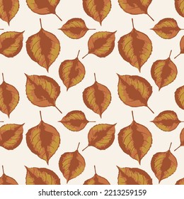 Beech tree fresh leaves as background,Autumn leaves isolated on white background. Autumn leaves background. Autumn composition. Frame made of autumn leaves on white