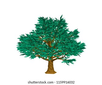 Beech tree. Isolated on white background. 3d Vector illustration.