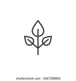 Beech tree leaves outline icon. linear style sign for mobile concept and web design. Leaf simple line vector icon. Symbol, logo illustration. Pixel perfect vector graphics