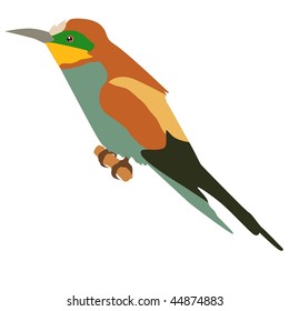 bee-eater