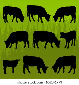 Beef cattle and cow detailed silhouettes illustration collection background vector