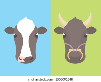 Beef cow and dairy cow, vector illustration