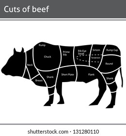 Beef cut or cuts of beef vector