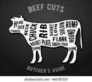 Beef cuts. Butcher guide on blackboard. Vector illustration