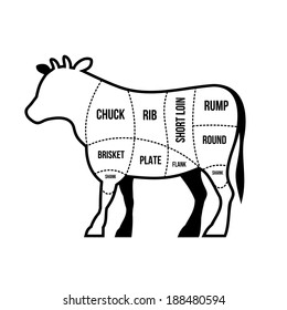 Beef Cuts Chart Cow isolated on white background. Vector