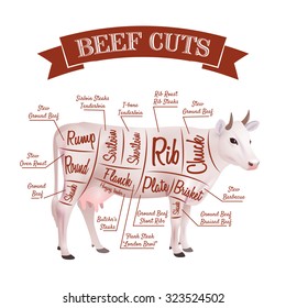 Beef cuts concept with realistic cow with parts scheme vector illustration